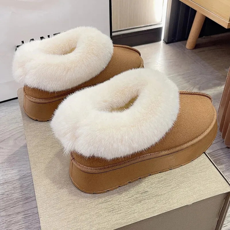 Platform Cotton