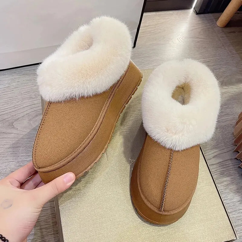 Platform Cotton