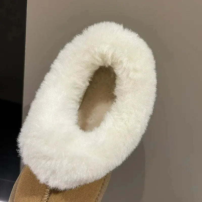 Platform Cotton